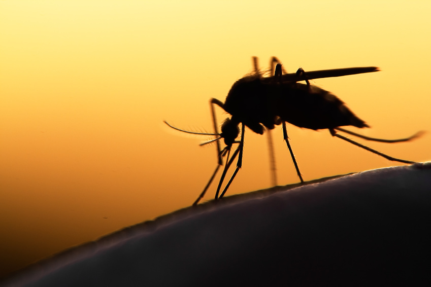 Keystone Virus and Mosquito Control